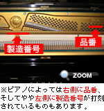 ピアノによっては右側に品番、そしてやや左側に製造番号が打刻されているものもあります。